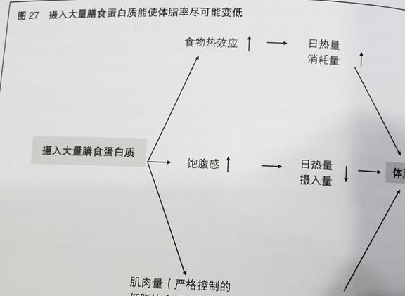 人形巨兽修炼威廉希尔williamhill秘笈不念做一个健身小白就该领略这些常识！(图5)