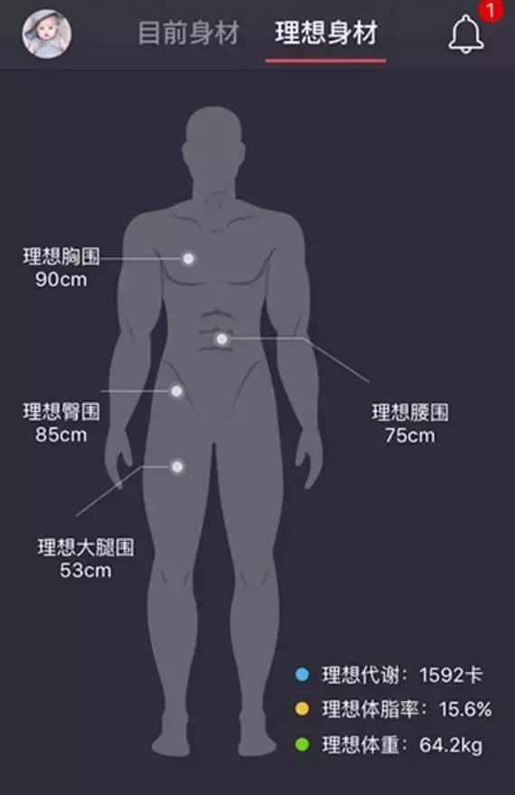 缺一弗成的健美达人和健身器械教你具有最威廉希尔williamhill(图19)